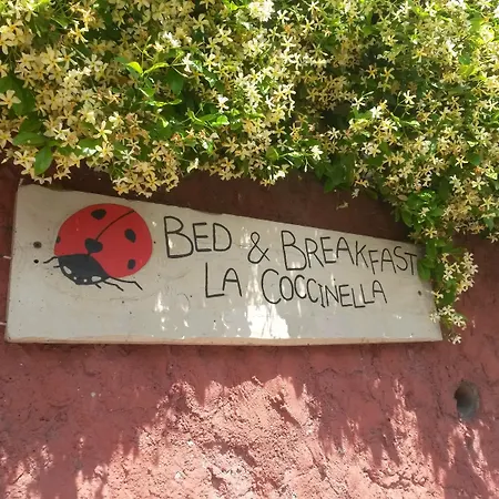 La Coccinella Di Silvia E Simone 3*