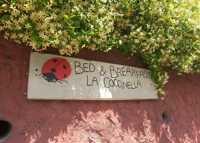 La Coccinella Di Silvia E Simone 3*